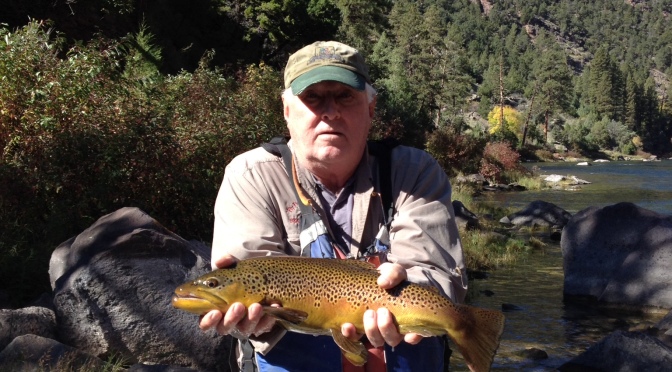 Fish of the week! Thanks Bill and Kass Weiss