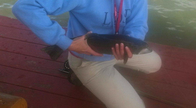 Red Canyon Lodge ~ Fly Fishing