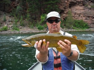 Caught on the A Section of the Green River. 