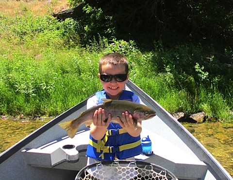 LOOKING FORWARD TO DRY FLY ACTION 2016