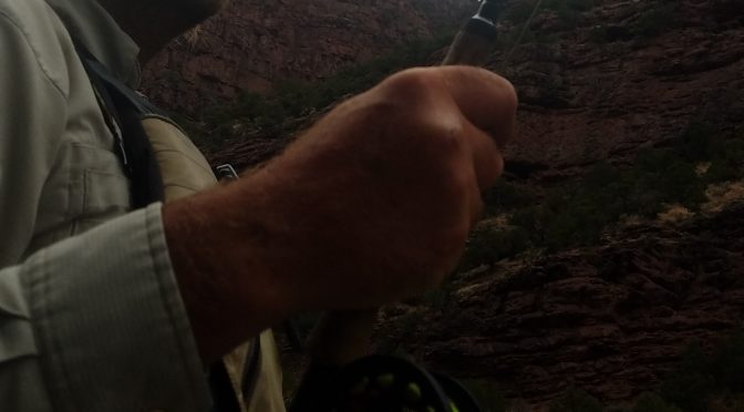 CADDIS HATCH
