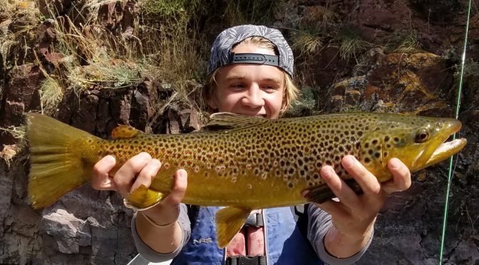 DRY FLY FISHING THE GREEN RIVER