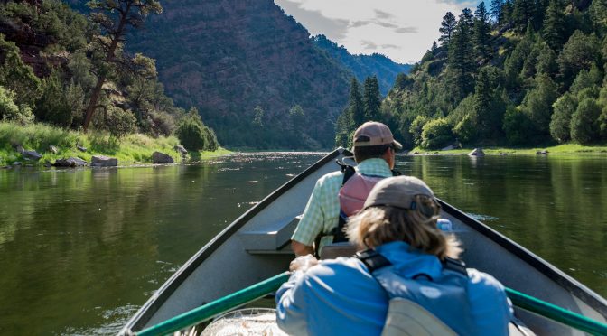 AUGUST FISHING ON THE GREEN