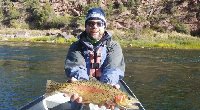 JANUARY 2018 FISHING THE GREEN