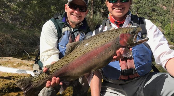 29 INCH RAINBOW