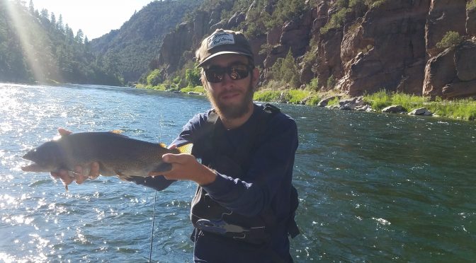 DRY FLY FISHING IS GOOD RIGHT NOW