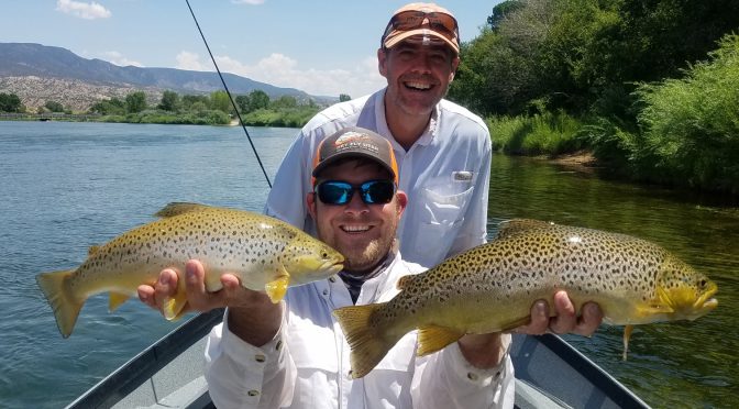 MORE GREAT FISHING