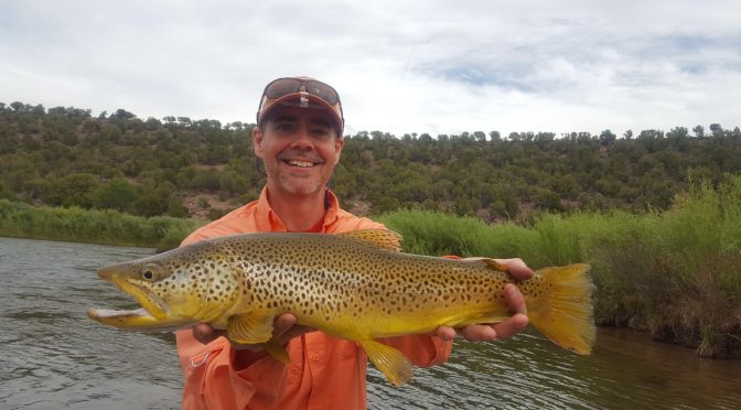 DRY FLY FISHING STILL GOOD
