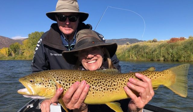 BIG BROWNS IN FALL